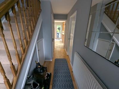 Picture 8